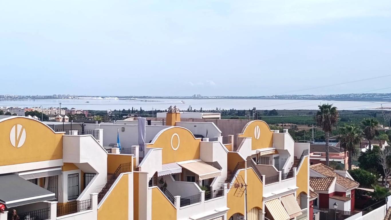 Verkauf - Wohnung - Los Montesinos - Urbanizacion montesol