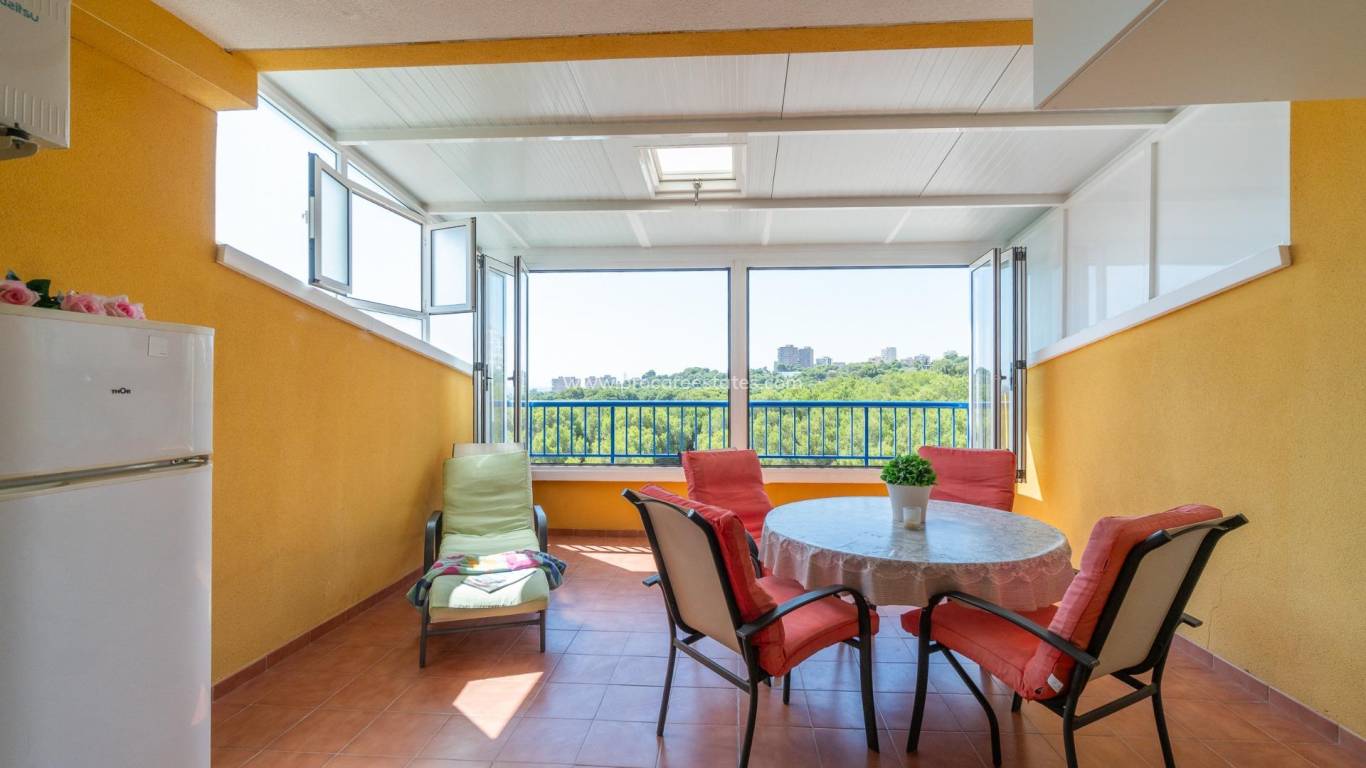 Verkauf - Wohnung - Orihuela Costa - Campoamor
