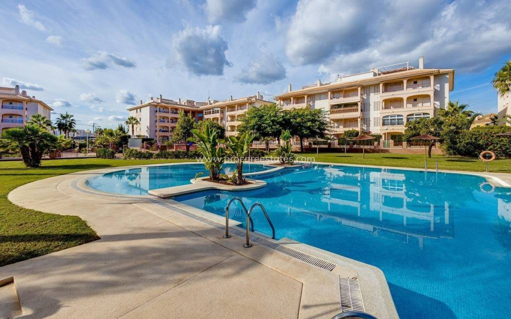 Verkauf - Wohnung - Orihuela Costa - La Chismosa