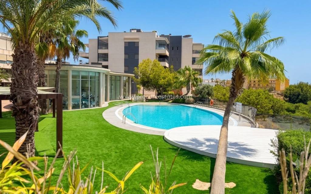 Verkauf - Wohnung - Orihuela Costa - La Zenia