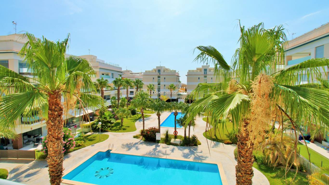 Verkauf - Wohnung - Orihuela Costa - LOS DOLSES