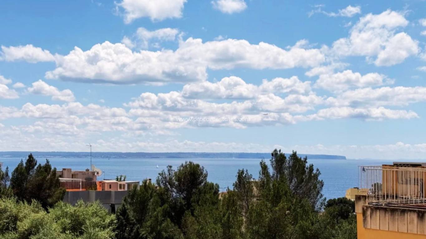 Verkauf - Wohnung - Palma - Sant Agustí