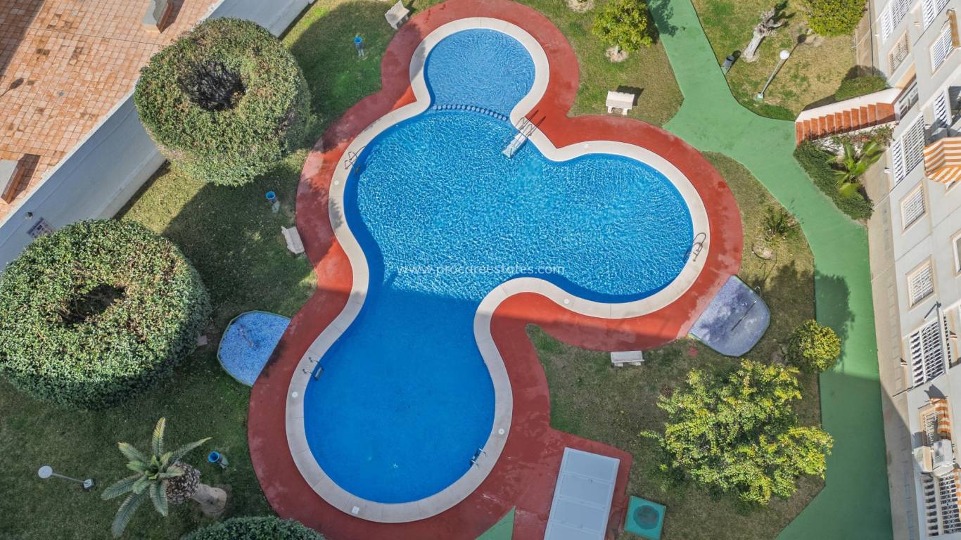 Verkauf - Wohnung - Torrevieja - Acequion