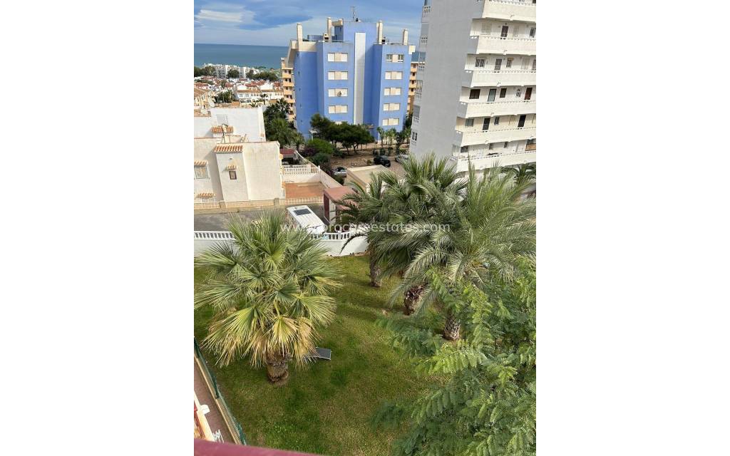 Verkauf - Wohnung - Torrevieja - Cabo Cervera