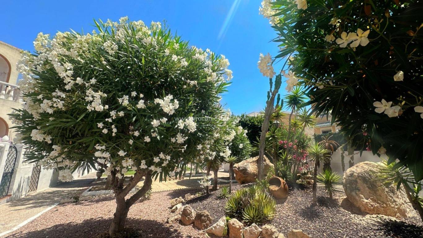 Verkauf - Wohnung - Torrevieja - Cabo Cervera