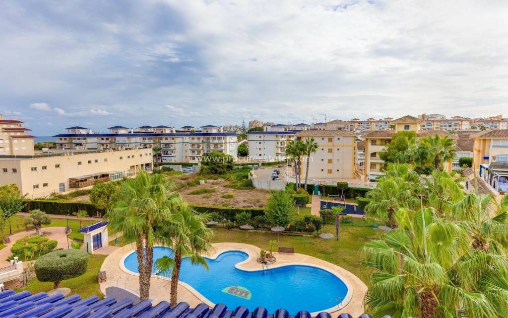 Verkauf - Wohnung - Torrevieja - Cabo Cervera