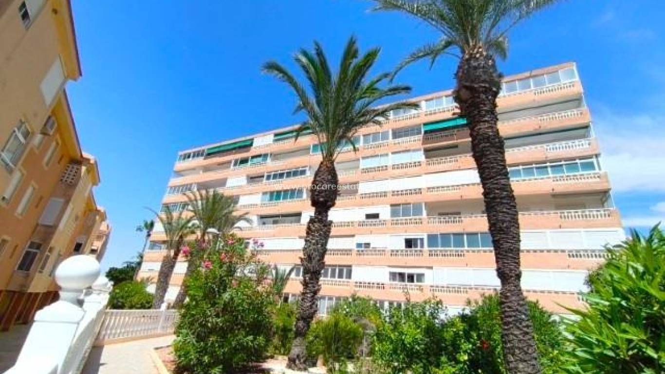 Verkauf - Wohnung - Torrevieja - La Mata