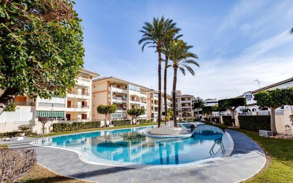 Verkauf - Wohnung - Torrevieja - La Mata