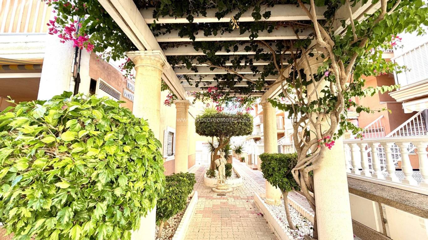 Verkauf - Wohnung - Torrevieja - La Mata