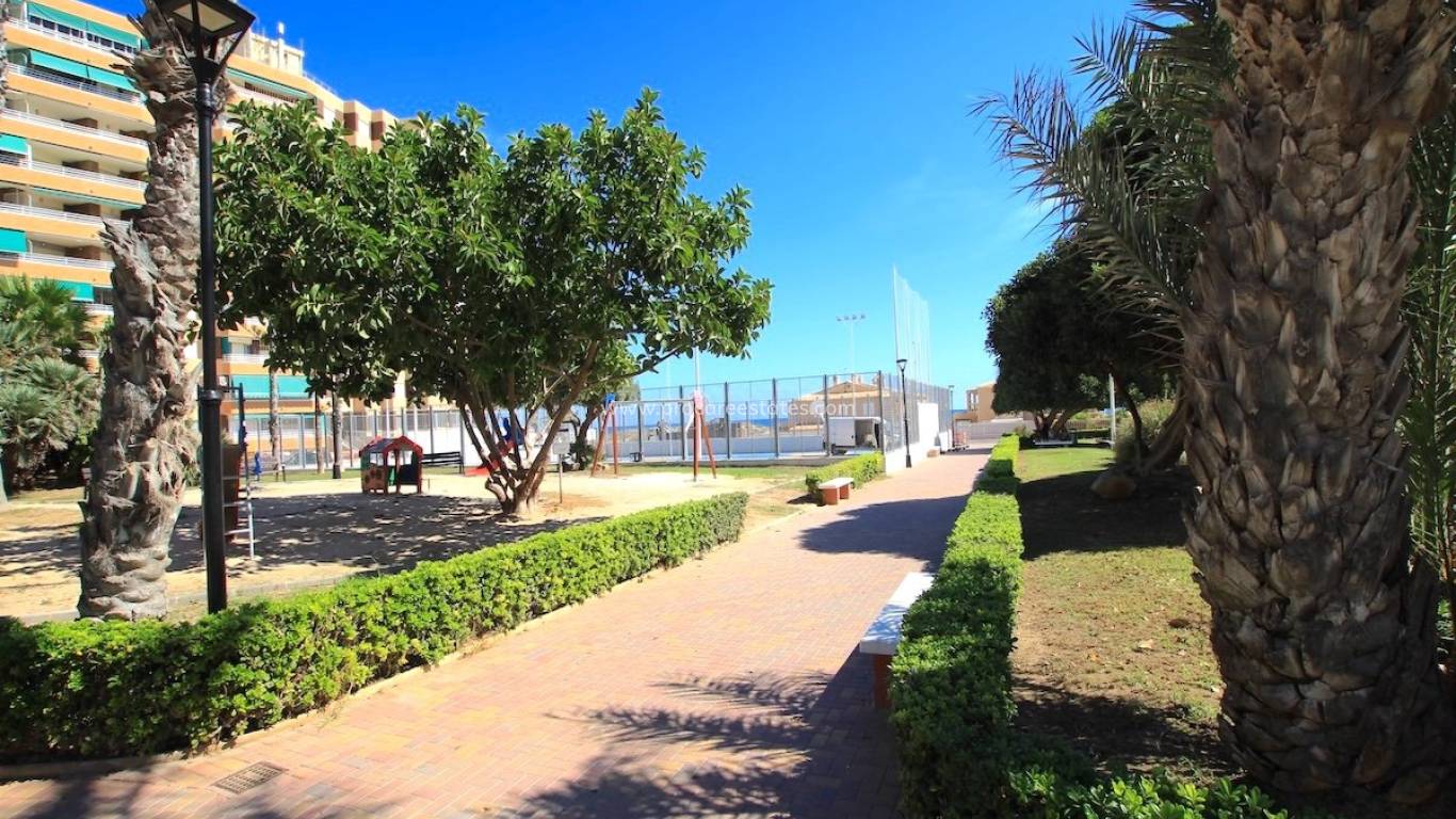Verkauf - Wohnung - Torrevieja - La Mata