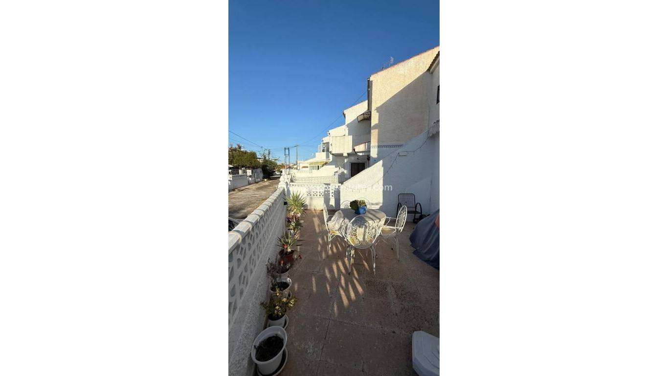 Verkauf - Wohnung - Torrevieja - La Siesta - El Salado - Torreta