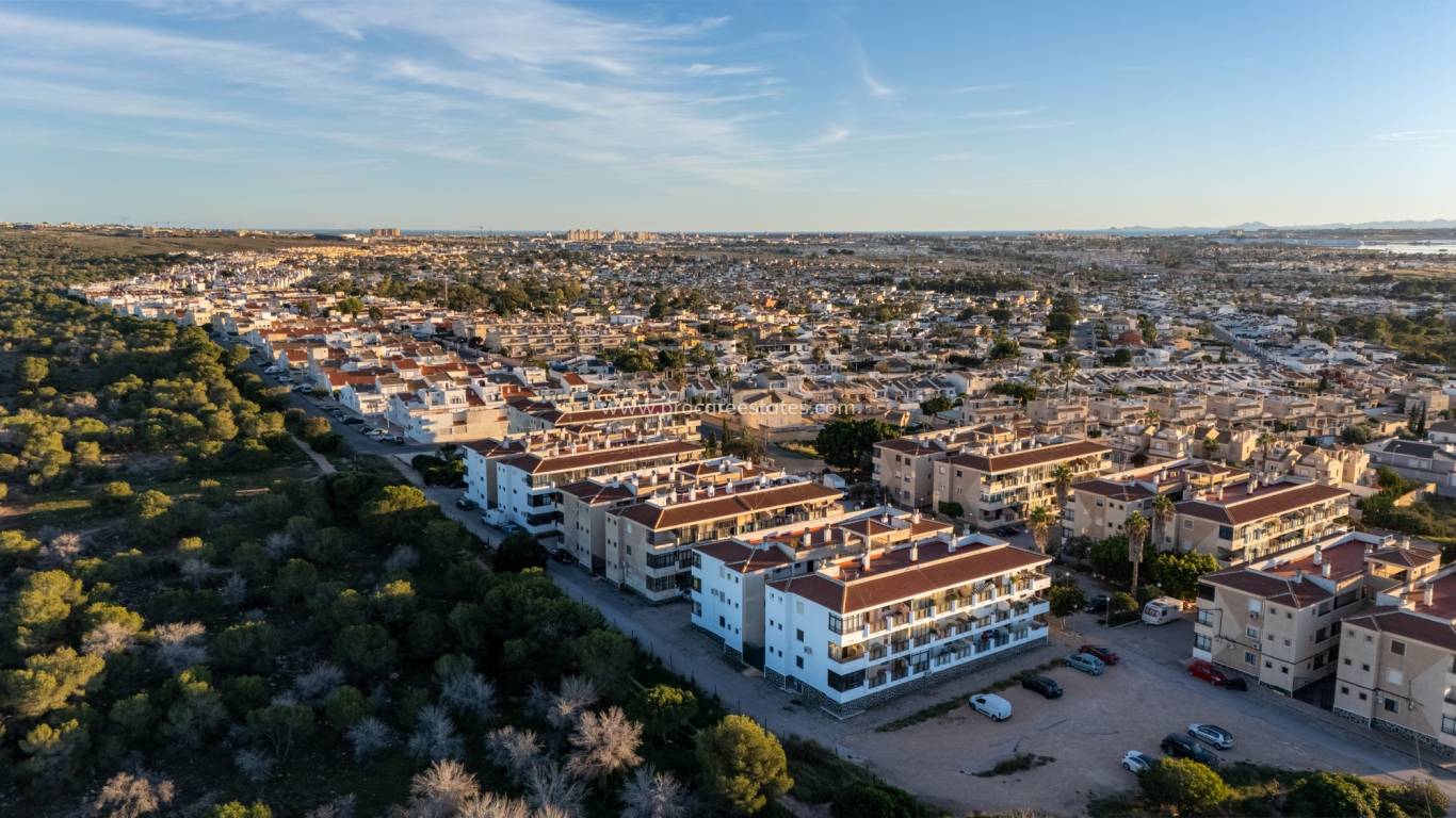 Verkauf - Wohnung - Torrevieja - La Siesta - San Luis