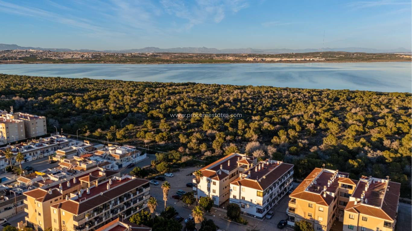 Verkauf - Wohnung - Torrevieja - La Siesta - San Luis