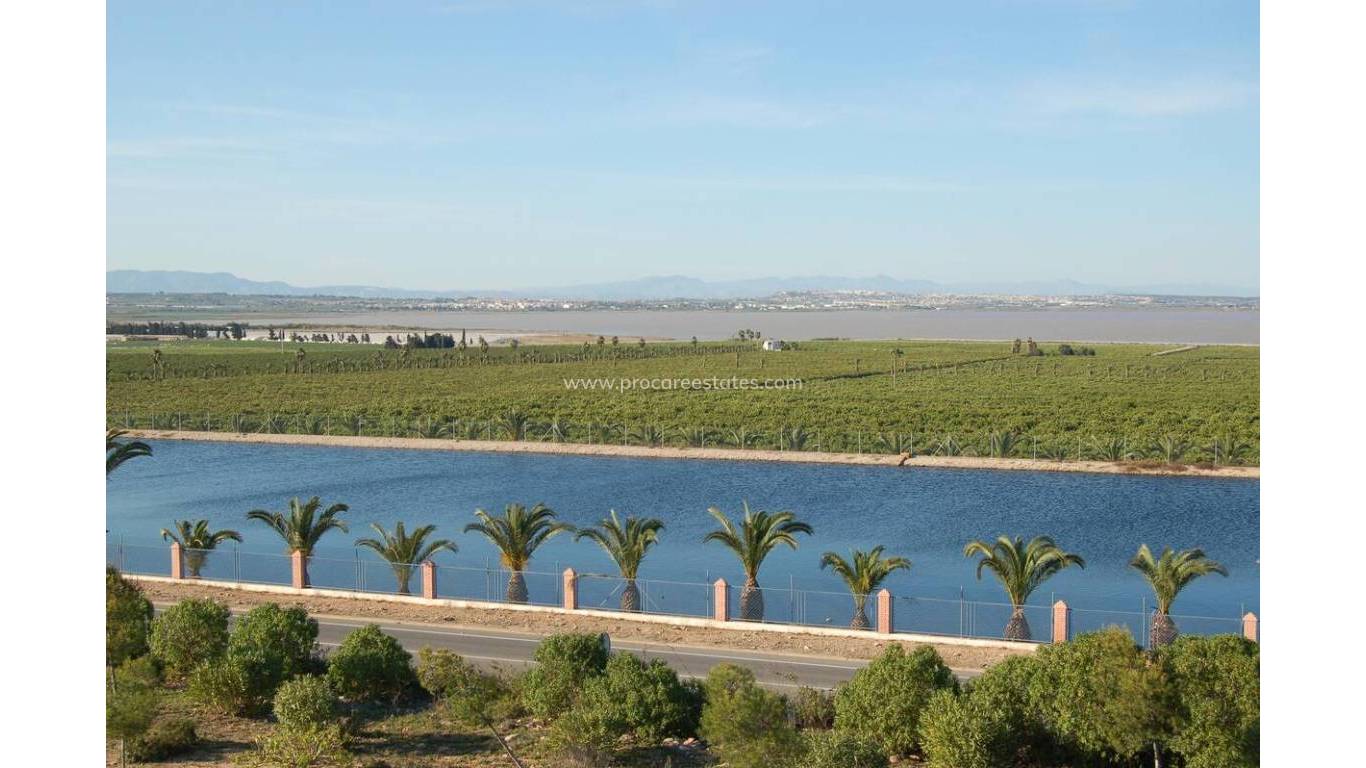 Verkauf - Wohnung - Torrevieja - Los Balcones