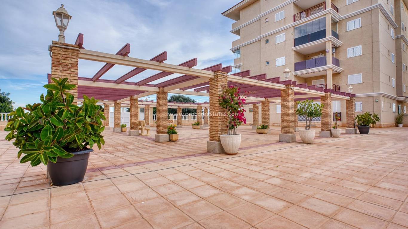 Verkauf - Wohnung - Torrevieja - Los Europeos