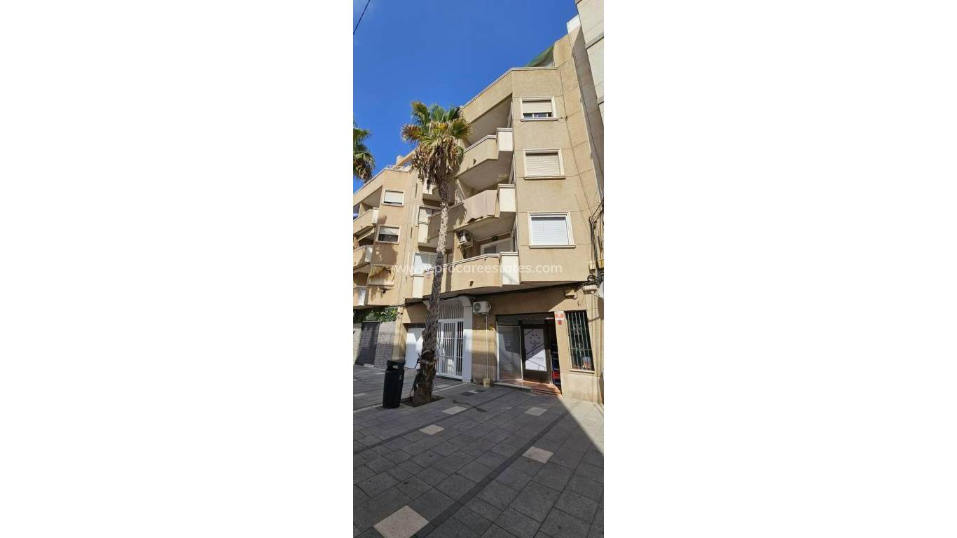 Verkauf - Wohnung - Torrevieja - Paseo maritimo