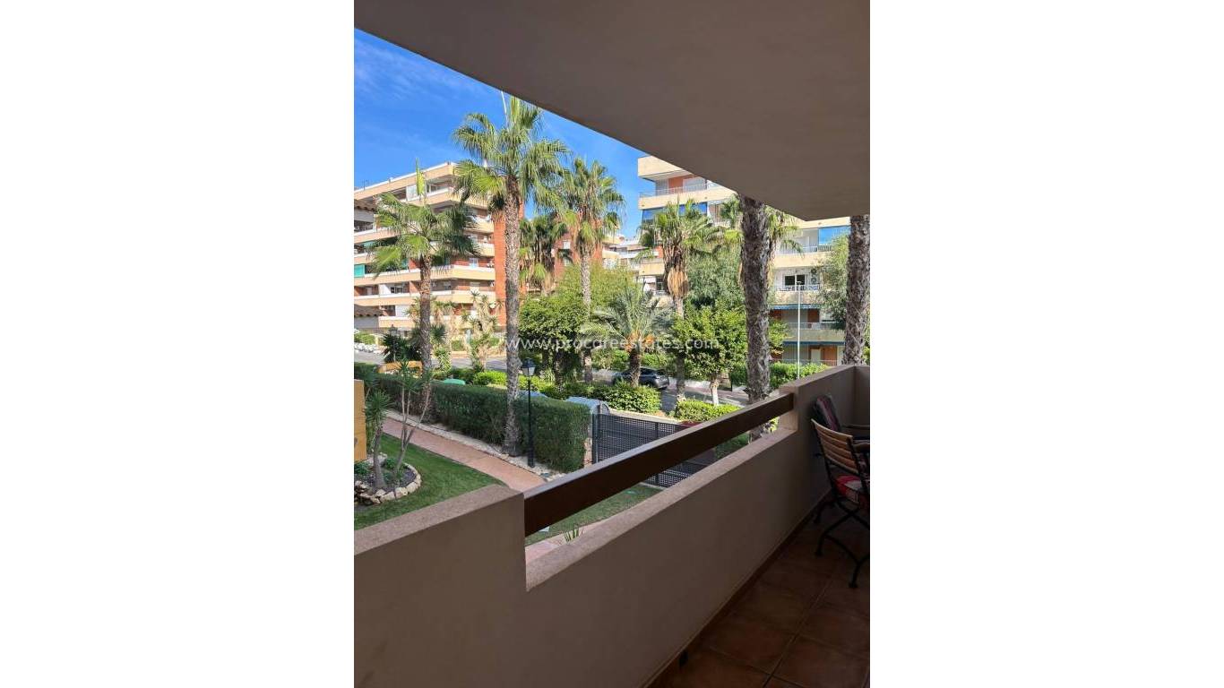 Verkauf - Wohnung - Torrevieja - Punta Prima