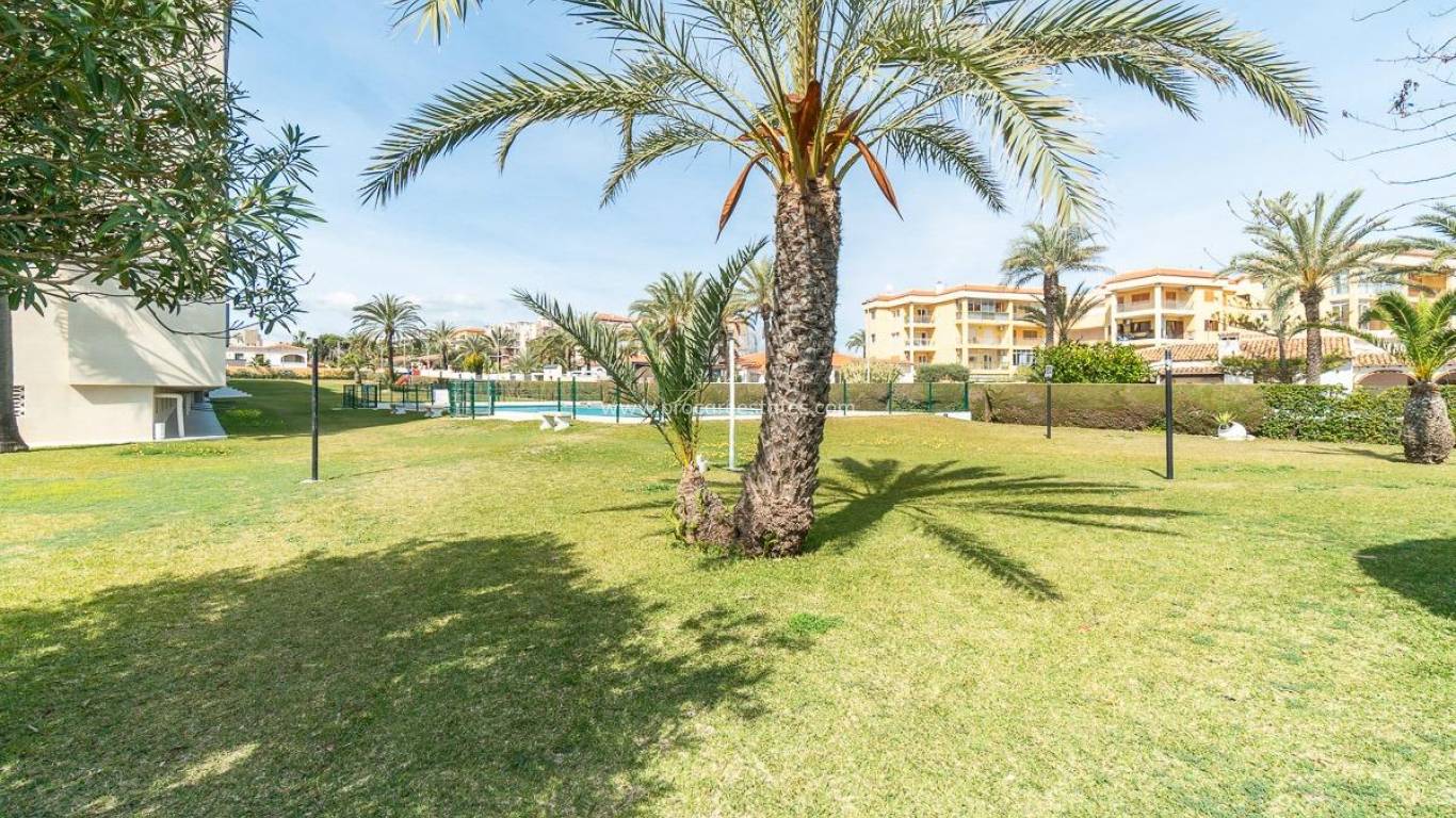 Verkauf - Wohnung - Torrevieja - Punta Prima