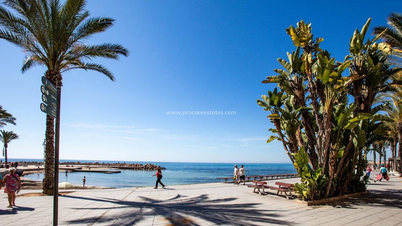 Verkauf - Wohnung - Torrevieja - Torrevieja Center