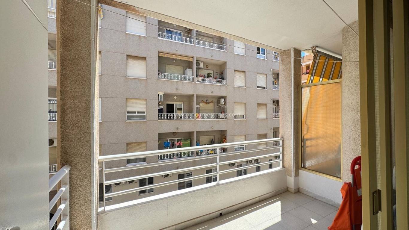 Verkauf - Wohnung - Torrevieja - Torrevieja Center