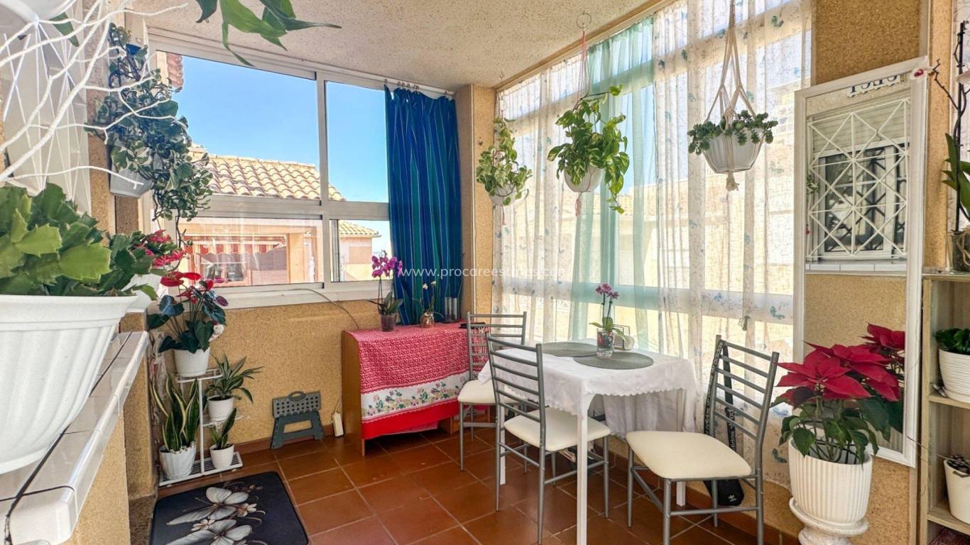 Verkauf - Wohnung - Torrevieja - Torrevieja Center