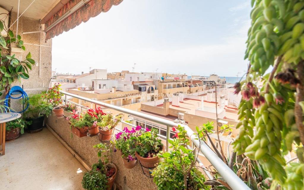 Verkauf - Wohnung - Torrevieja - Torrevieja Center