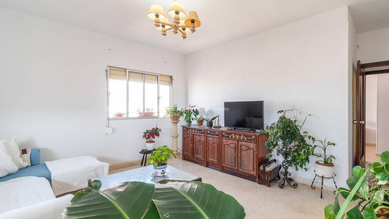 Verkauf - Wohnung - Torrevieja - Torrevieja Center