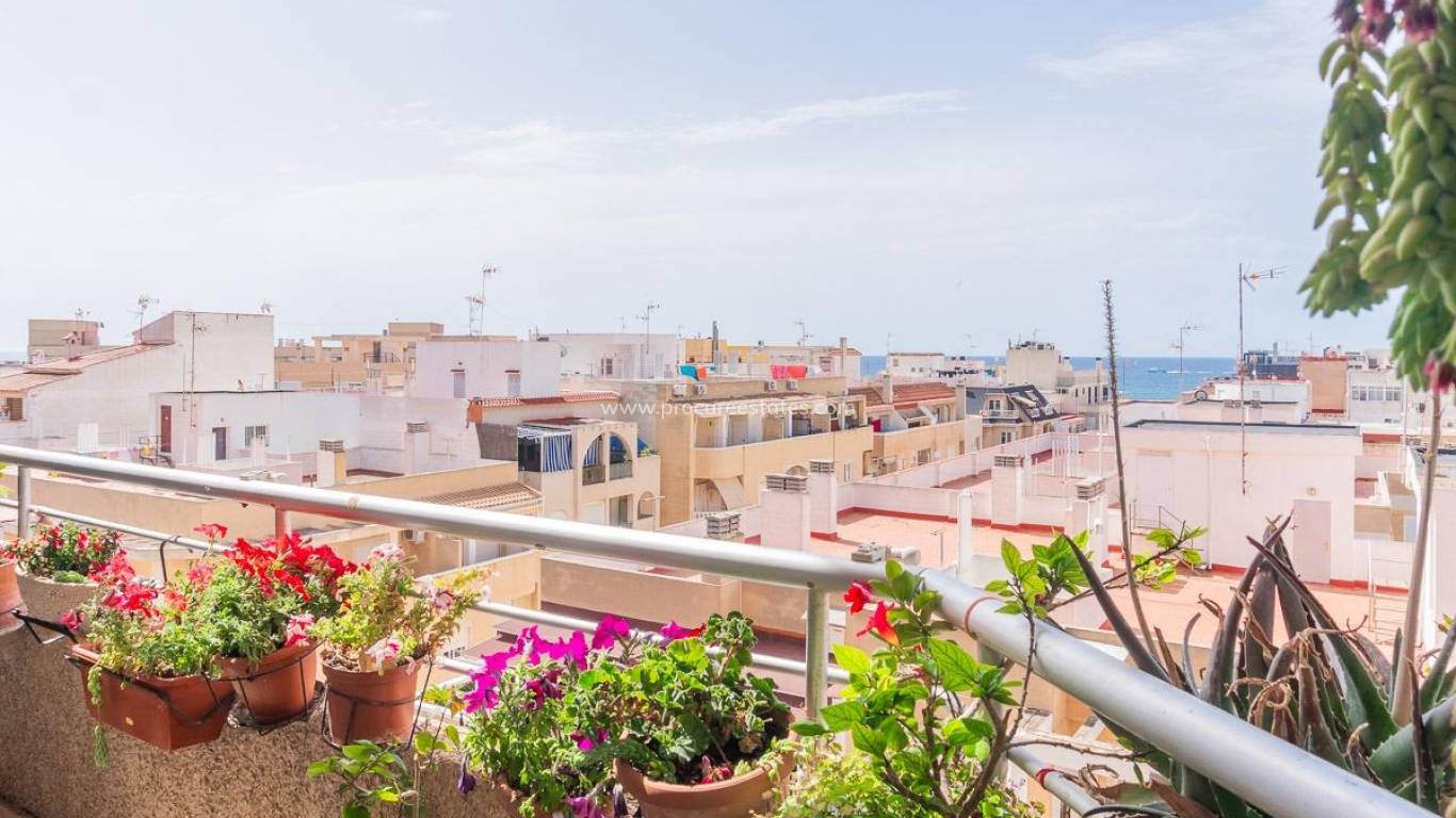 Verkauf - Wohnung - Torrevieja - Torrevieja Center