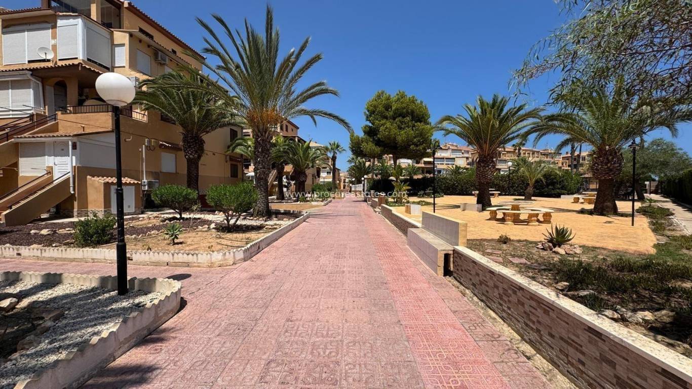 Verkauf - Wohnung - Torrevieja