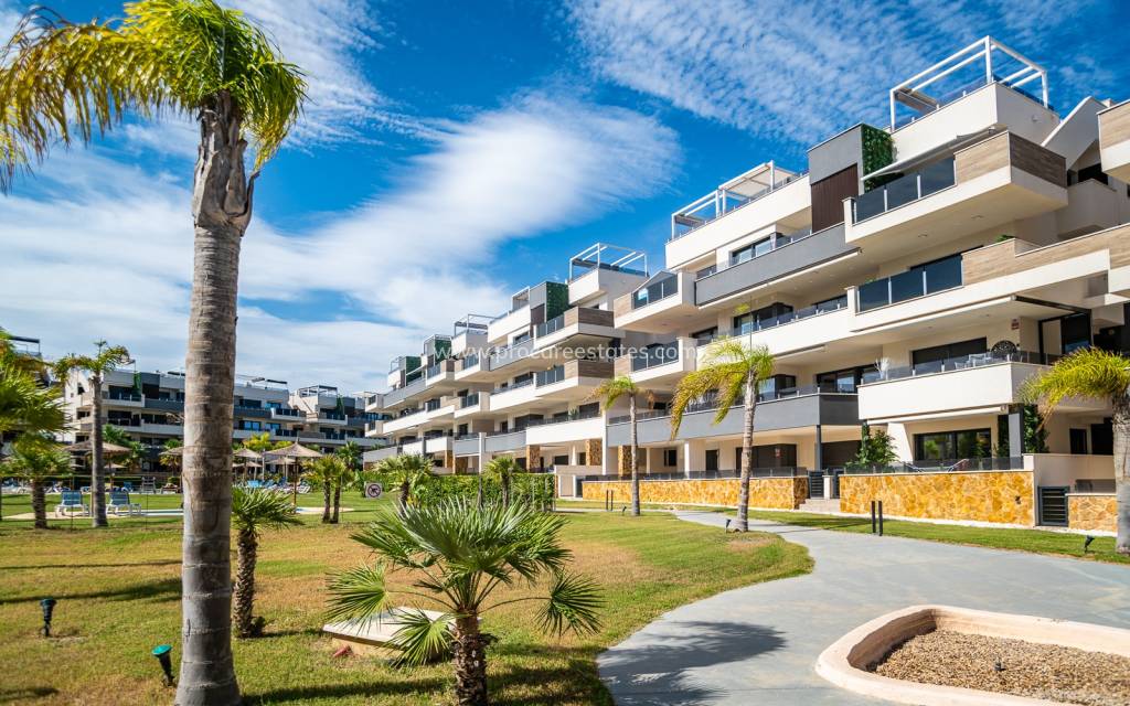 Verkauf - Wohnung - Torrevieja