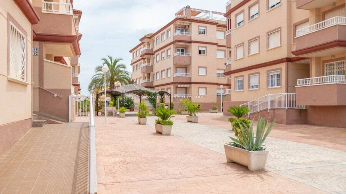 Verkoop - Appartement - Algorfa