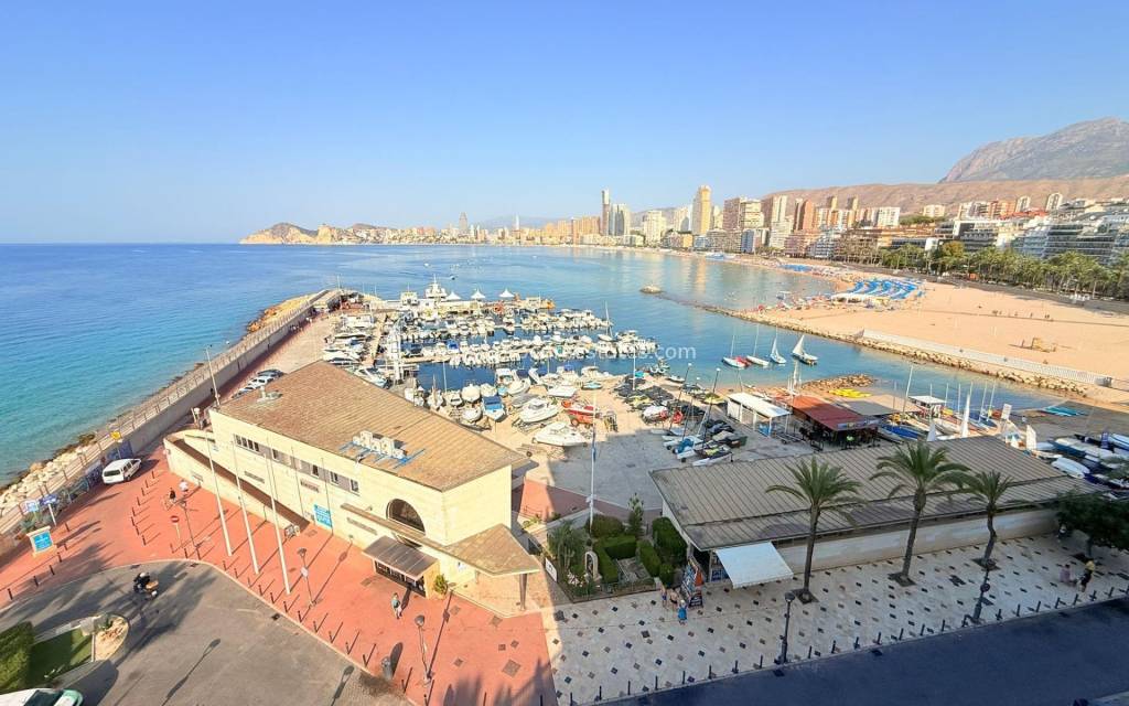 Verkoop - Appartement - Benidorm - Poniente