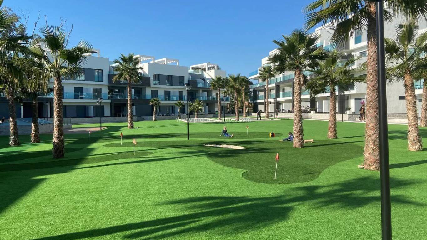 Verkoop - Appartement - Guardamar del Segura - El Raso