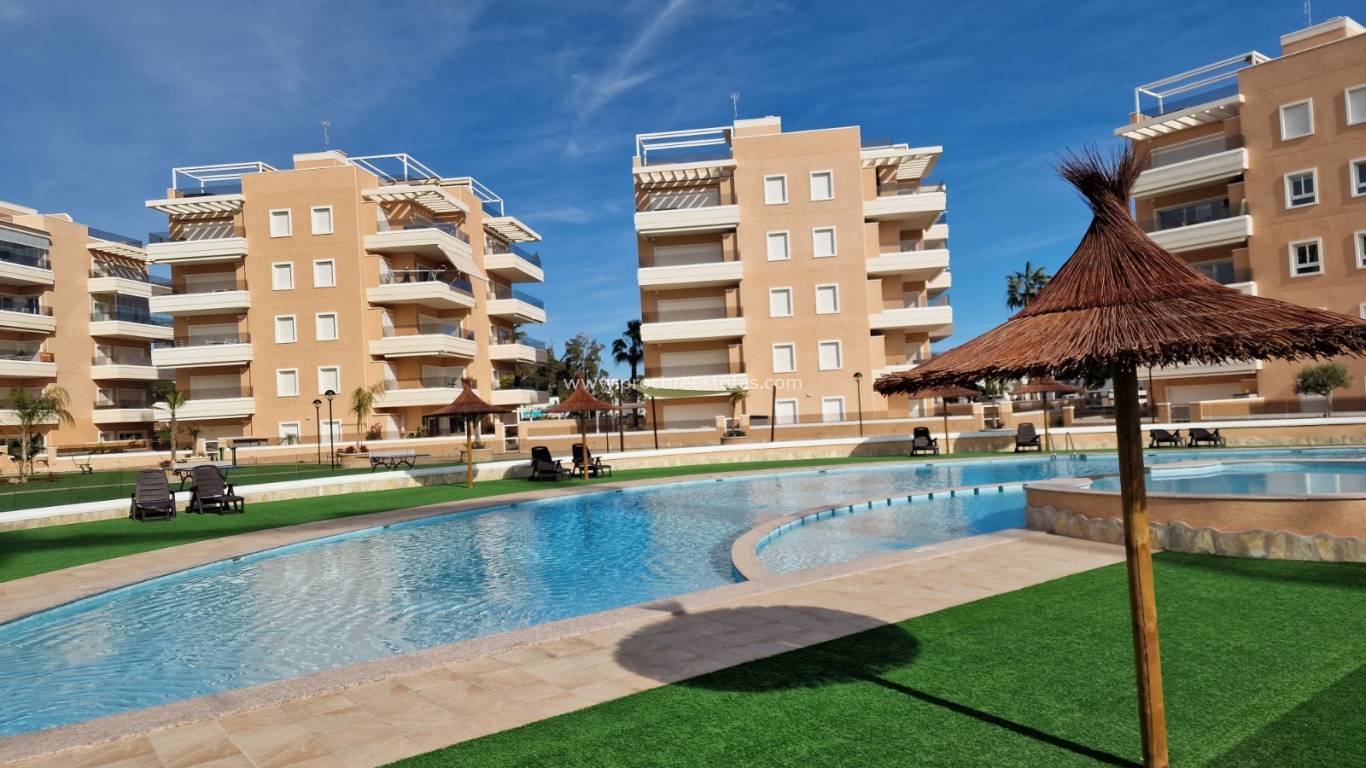 Verkoop - Appartement - Guardamar del Segura - El Raso