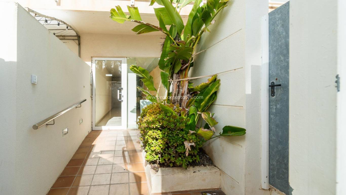 Verkoop - Appartement - Guardamar del Segura - Puerto Deportivo