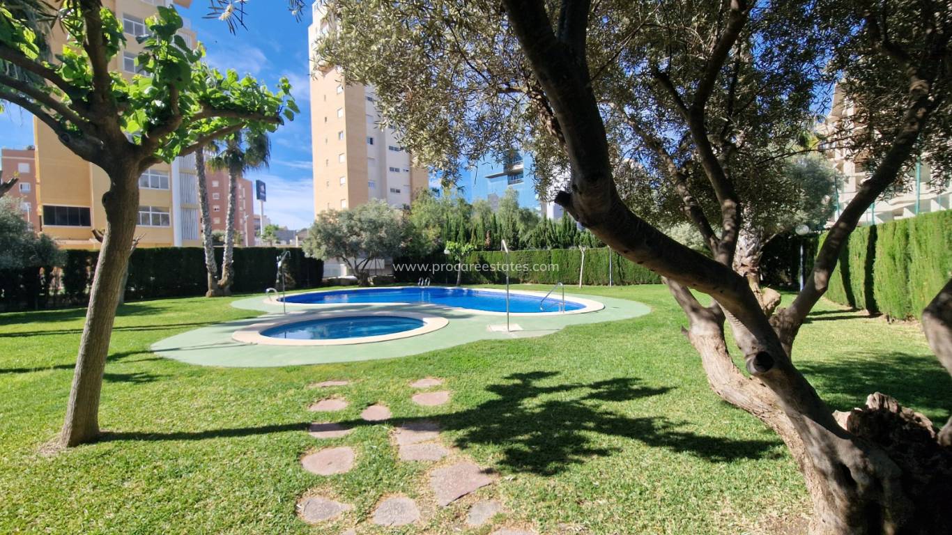 Verkoop - Appartement - Guardamar del Segura - Puerto