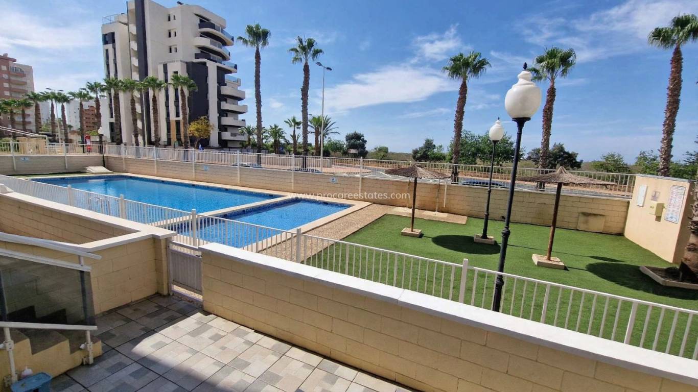 Verkoop - Appartement - Guardamar del Segura - Puerto
