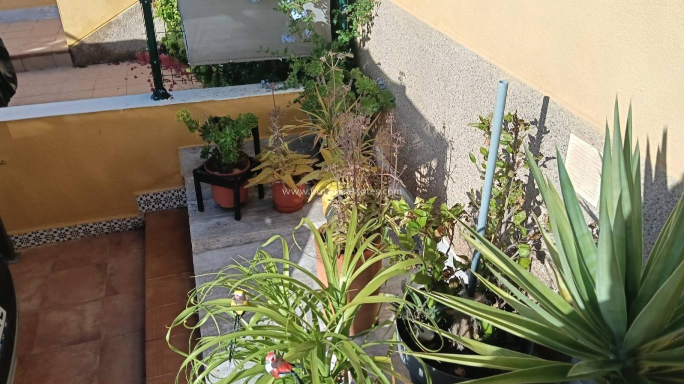 Verkoop - Appartement - Los Montesinos - Los Montesinos town