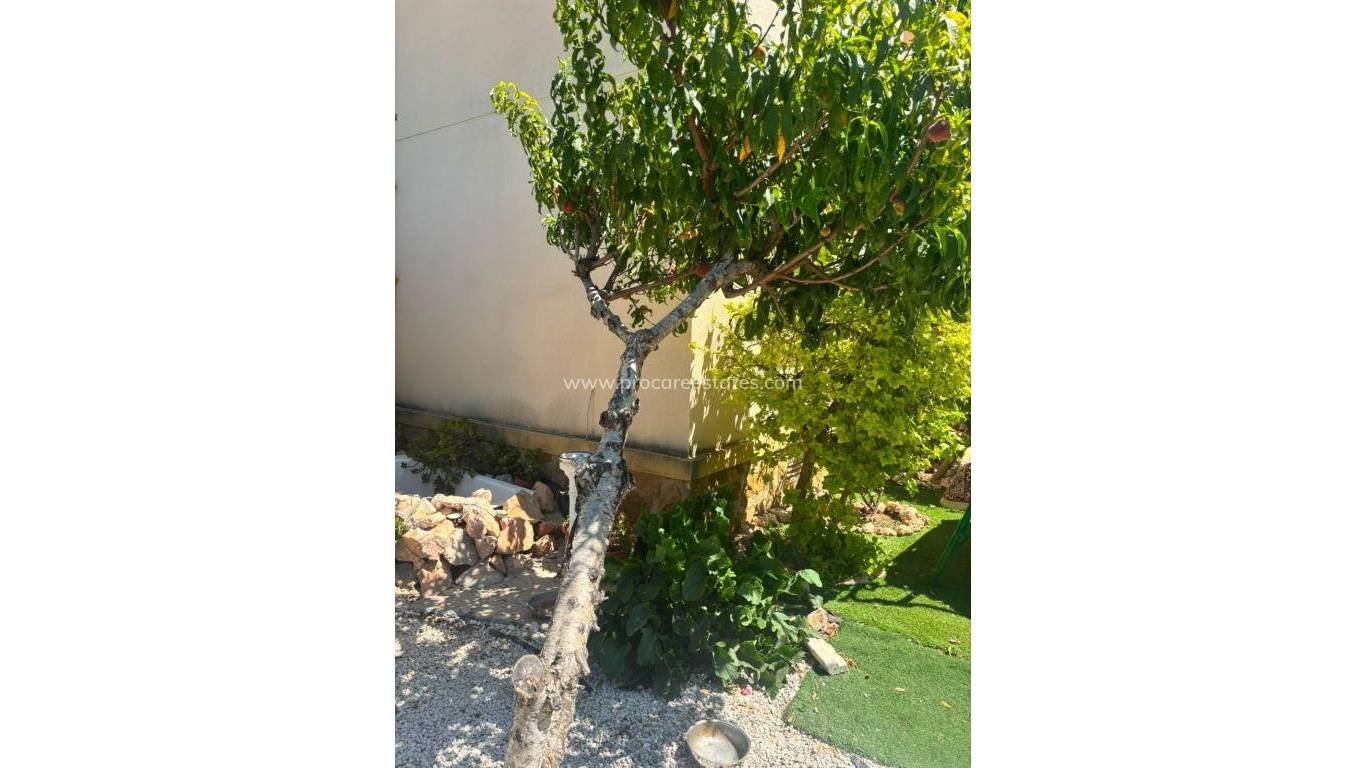 Verkoop - Appartement - Orihuela Costa - Cabo Roig