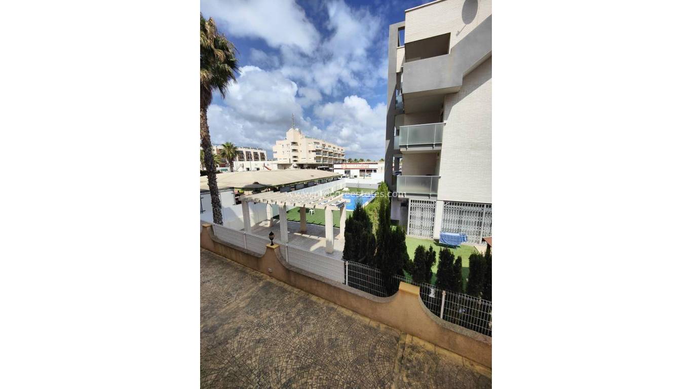 Verkoop - Appartement - Orihuela Costa - Campoamor