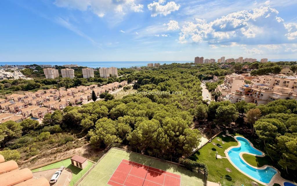 Verkoop - Appartement - Orihuela Costa - Campoamor