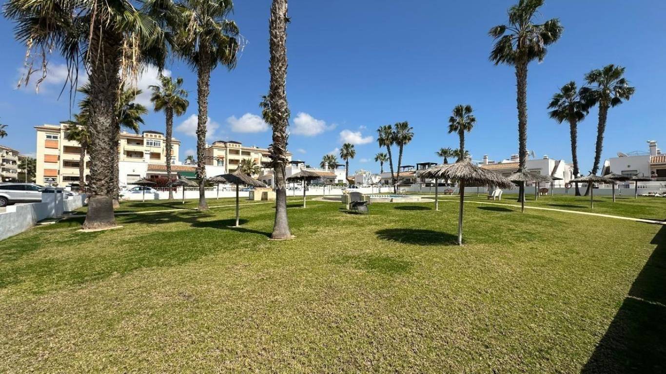 Verkoop - Appartement - Orihuela Costa - La Chismosa