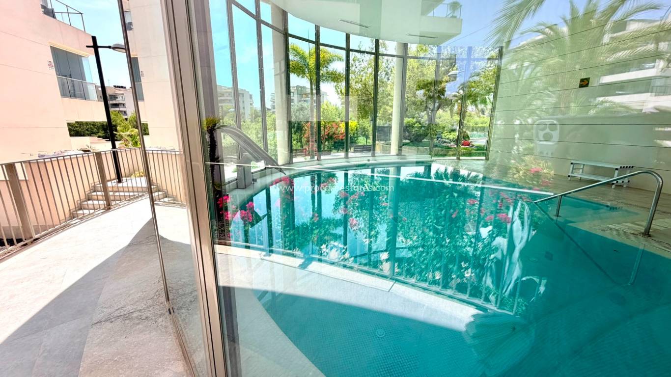 Verkoop - Appartement - Orihuela Costa - La Zenia