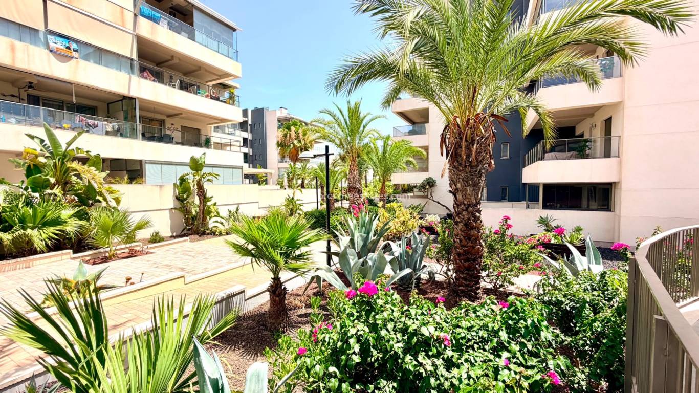 Verkoop - Appartement - Orihuela Costa - La Zenia
