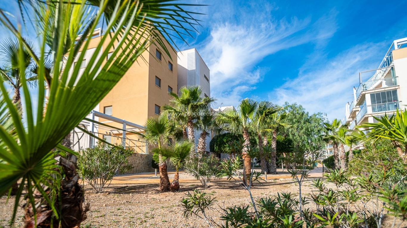 Verkoop - Appartement - Orihuela Costa - Los Dolses