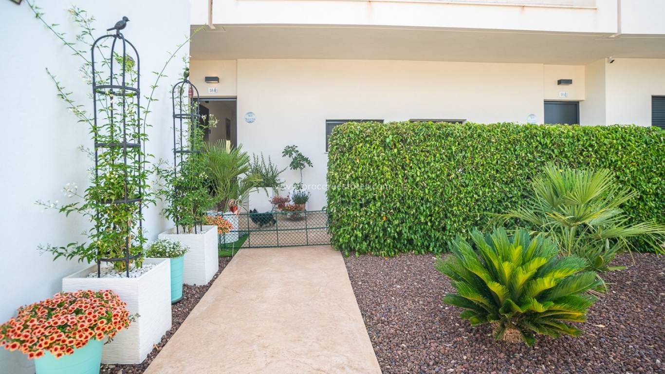 Verkoop - Appartement - Pilar de la Horadada - Lo Romero Golf