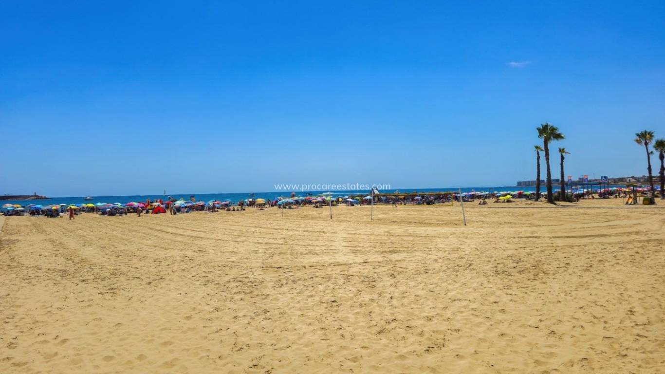 Verkoop - Appartement - Torrevieja - Acequion