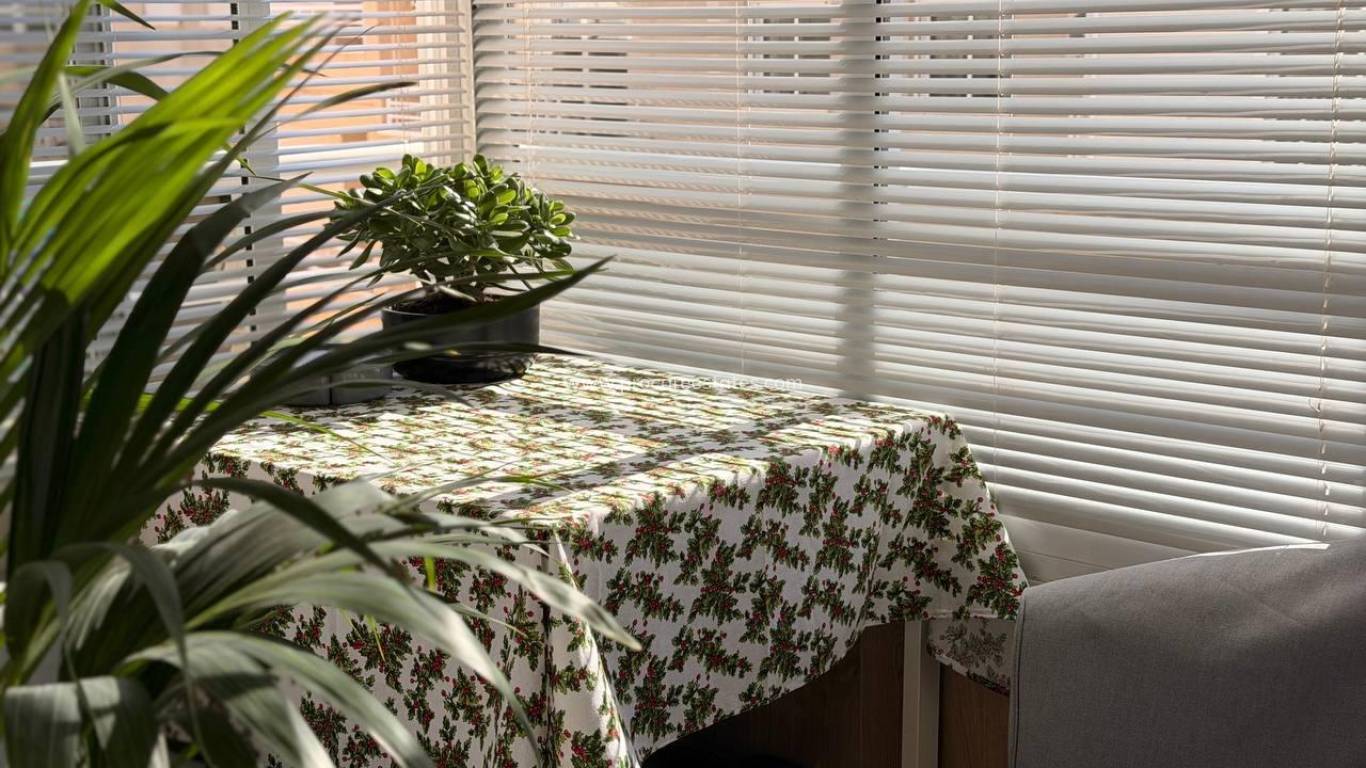 Verkoop - Appartement - Torrevieja - Acequion