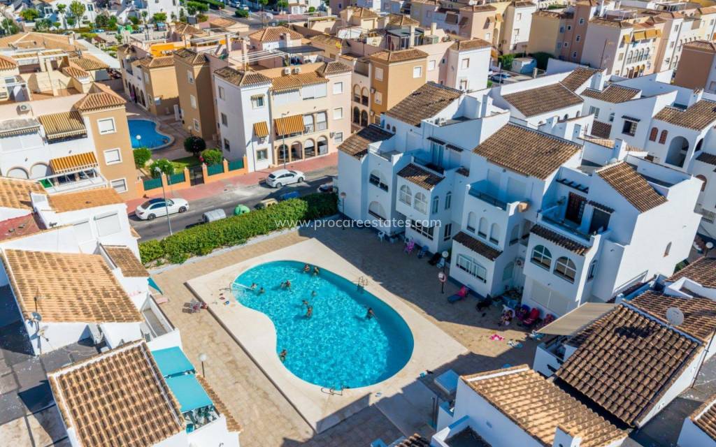 Verkoop - Appartement - Torrevieja - Acequion