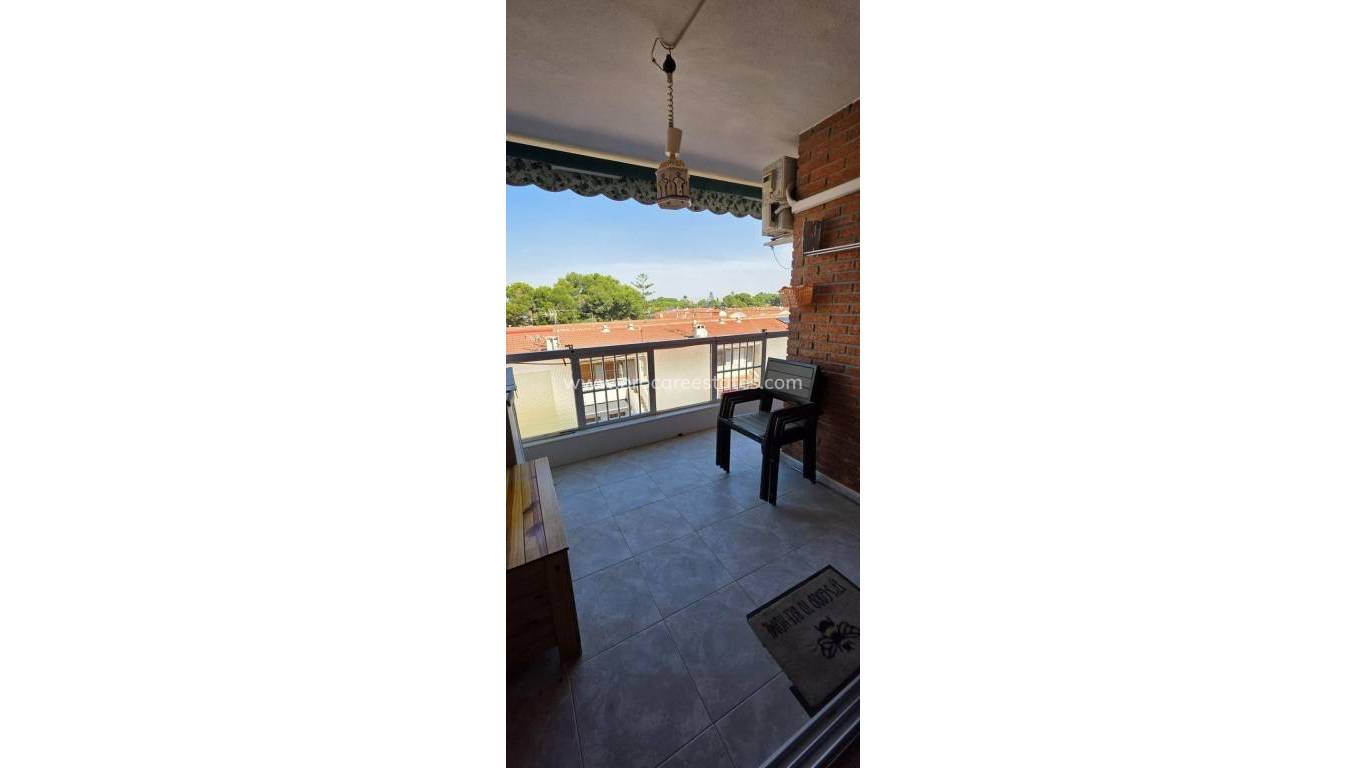 Verkoop - Appartement - Torrevieja - Acequion